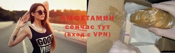 стаф Тавда