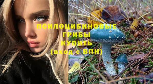 индика Тайга