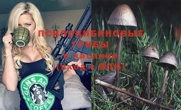 мдпв Ступино