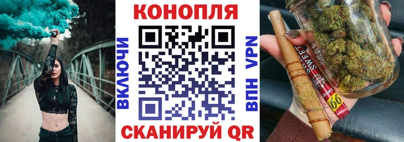 Купить где  Ессентукская  Конопля тримм 